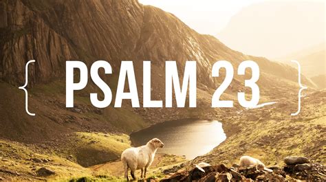 Second, David's faith rested in the fact that God was His shepherd. . Sermon on psalm 23